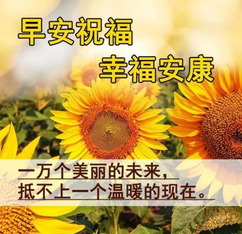 早安和早有什么区别吗