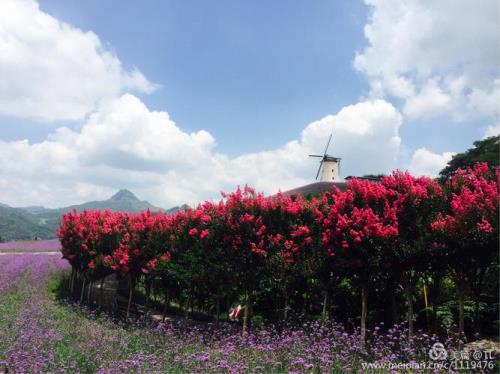 陌上花开缓缓归什么意思啊