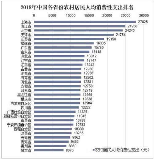 可支配支出什么意思