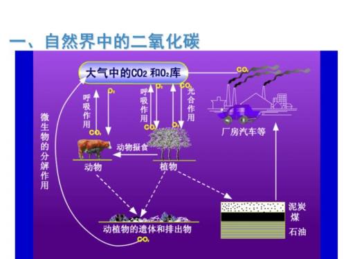 二氧化碳的循环形式