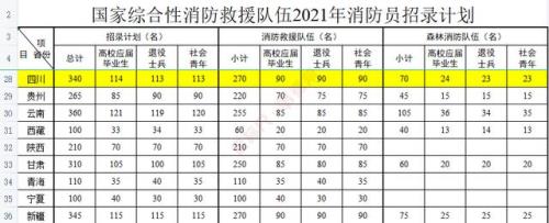 国家消防员入编考什么