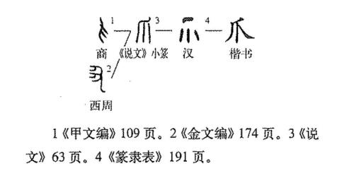 “爪”字的部首是什么