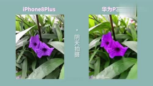 苹果8p怎么添加照片放在桌面