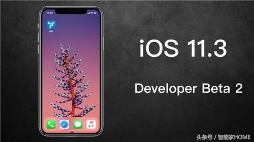 iphoneX适合升级ios16吗