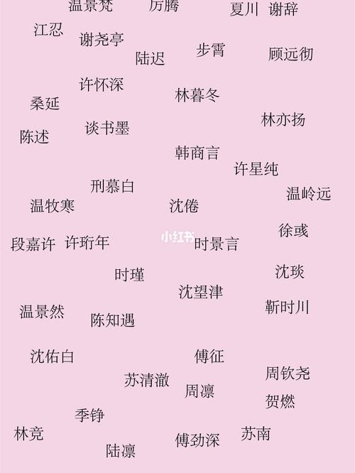 霍司烨洛小芋是叫什么名字小说