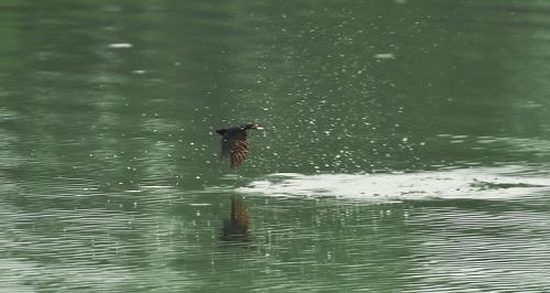 海浪撕翻了大船扩句