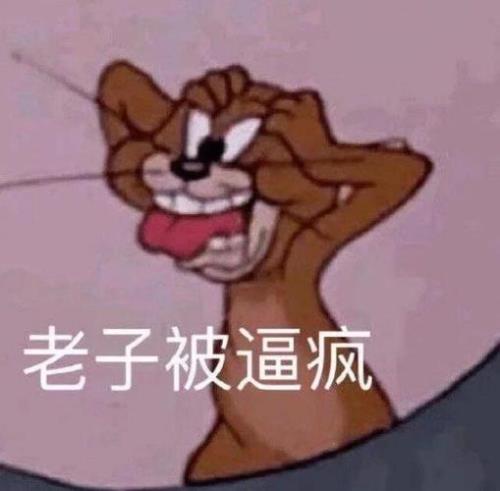 喜得快要发疯了的意思