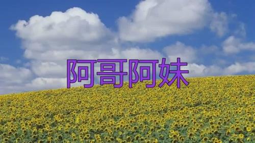 对面的阿妹歌曲原唱