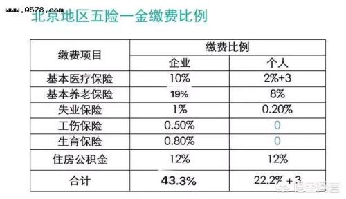 社保多久回本