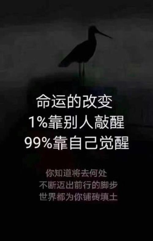 一辈子具体指多长时间