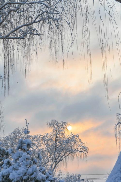 雪后的景色佳句