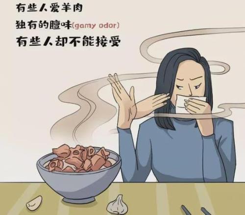 为什么我喜欢羊膻味