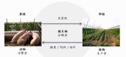 农业微生物种质资源是啥