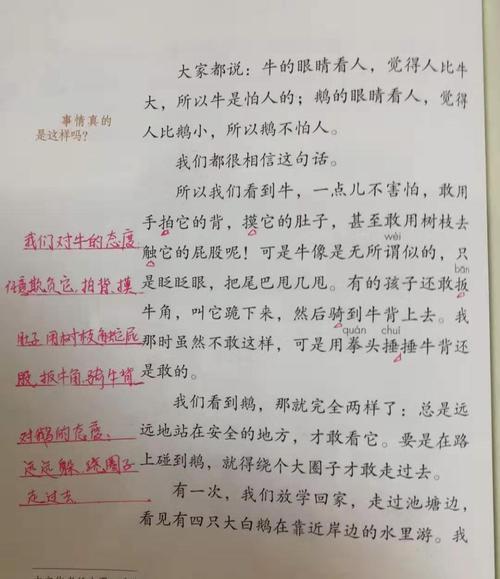 陀螺第四自然段如何有体会批注