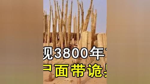 距今3800年前是什么时期