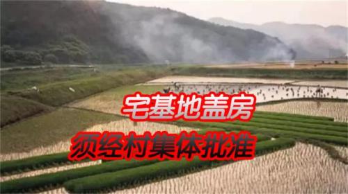 2020至2022农村宅基地建设有什么要求