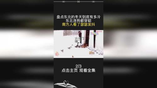 东北人说想法很正是什么意思