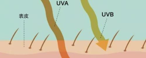 求助，UVB的使用方法
