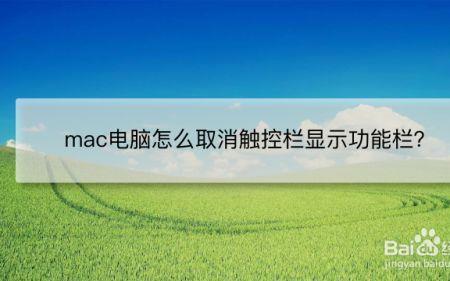 触屏模式被禁止怎么关