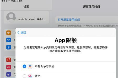 孩子的ipad怎么关掉appstore密码