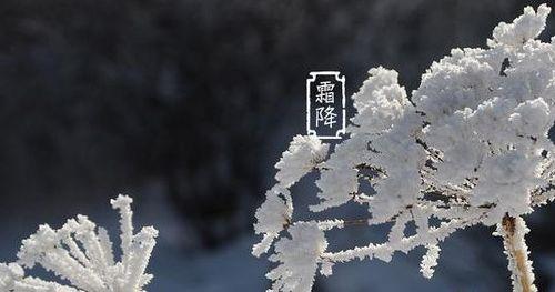 夏雨少秋霜早的意思是什么