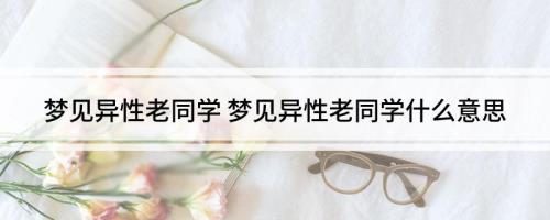 同学的意思是什么