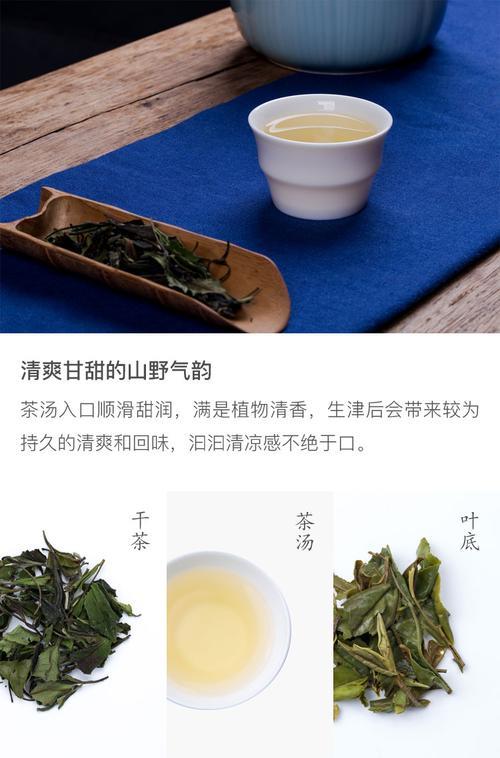 野放白茶什么意思