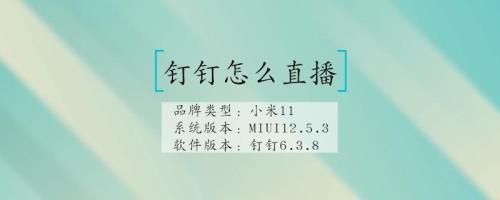 12月6号钉钉能直播吗