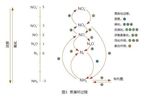 二氧化氮可以一步转化为氨气吗