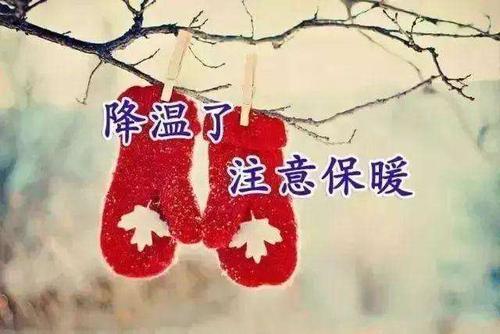 分不清是天冷还是心冷什么意思