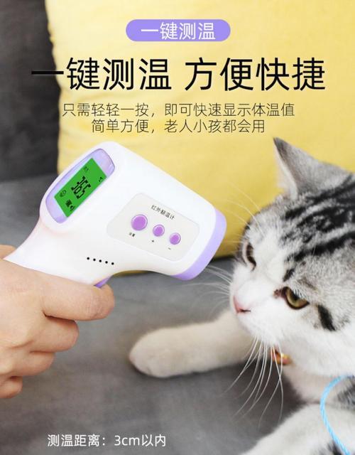 怎么给猫咪测体温啊