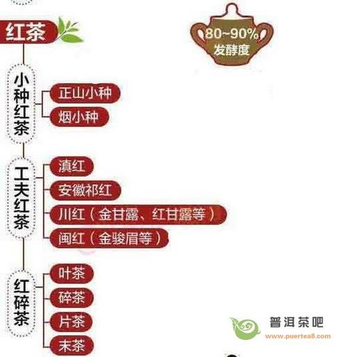 茶的分类品种及代表