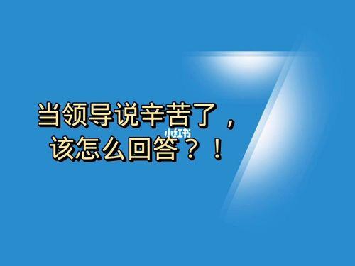 领导说辛苦了10种回复