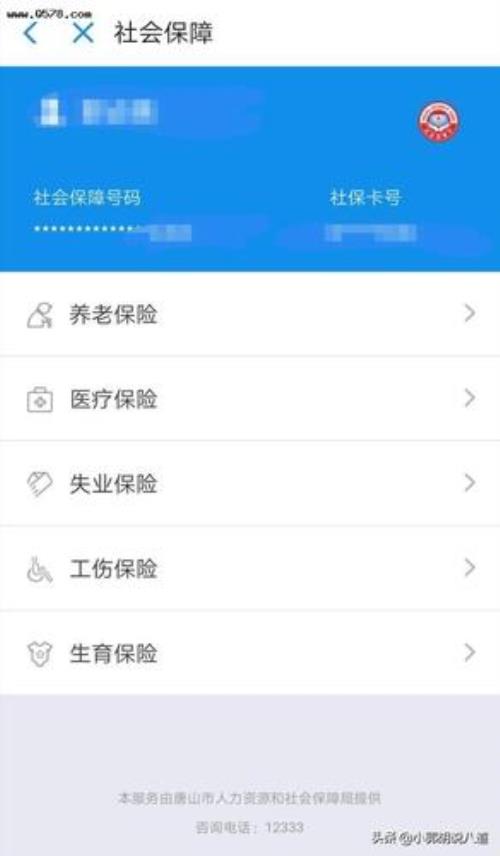 山东社保个人账户余额怎么查询