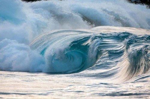 海浪能达多高