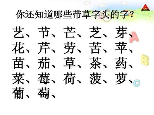 带“艹”字头有什么字