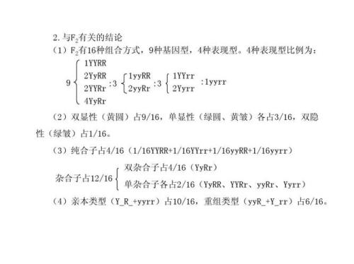 纯合子和杂合子的区别和概念