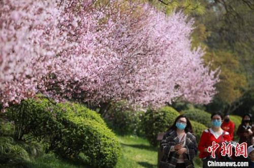 春暖花开无人赏的下一句