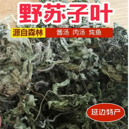 紫苏和把蒿一样吗