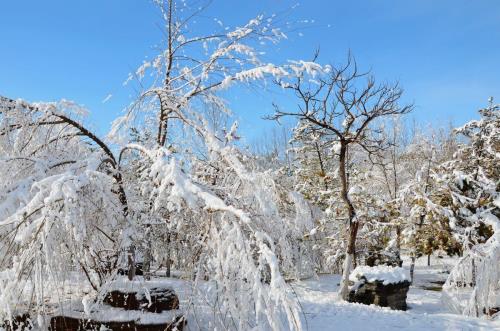 北京12月份会下雪吗