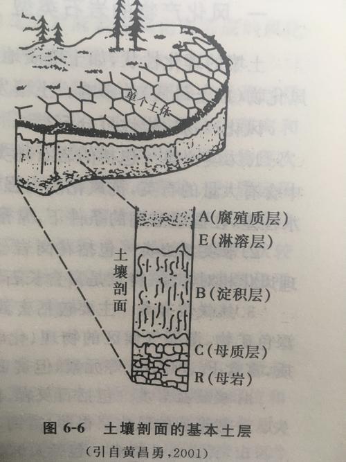 土体构造的名词解释