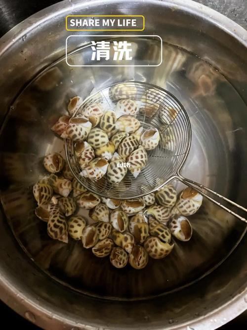 盐焗花螺可以用电磁炉