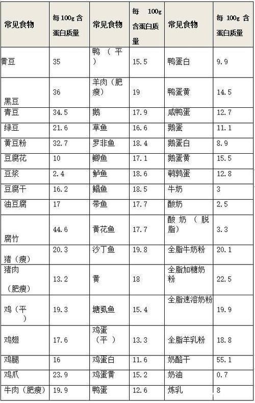 什么食物有蛋白质和营养