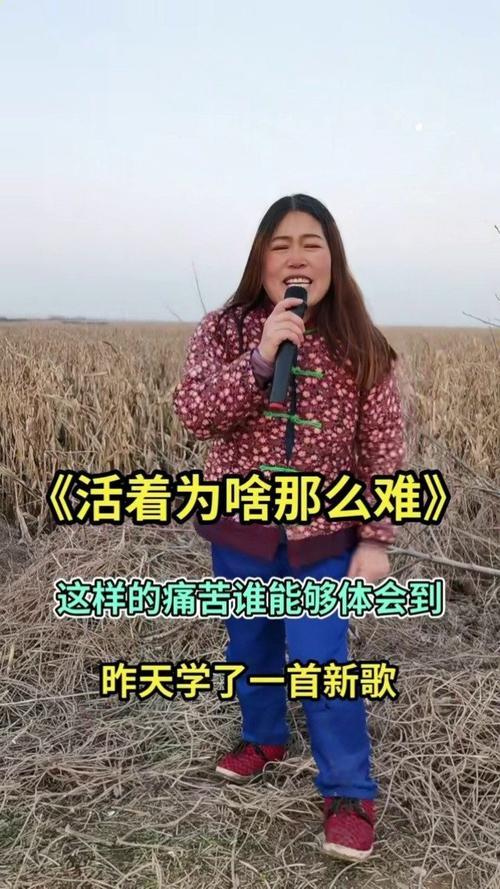 一辈子为啥这么难原唱版