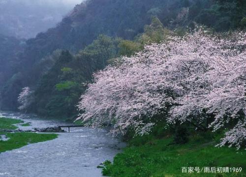 溪行桃花源赏析