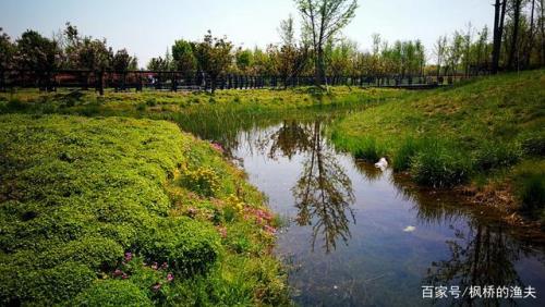 北龙湖湿地公园能带宠物吗