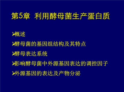 什么是酵母，是怎么生产的