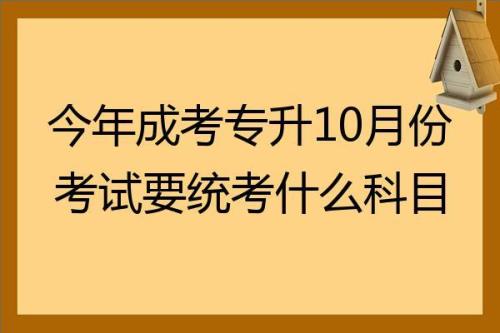 专升本一般在几月份考