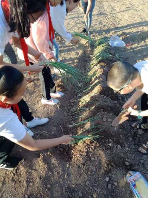 耕地不撒种白走一趟形容什么人