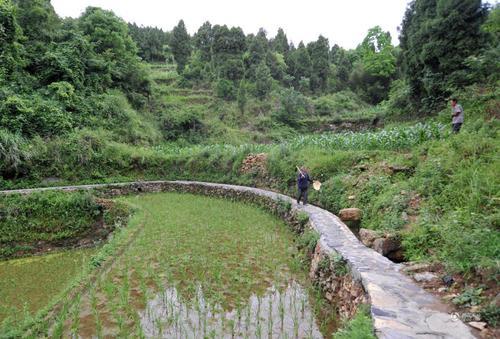 风铃岛水渠怎么修